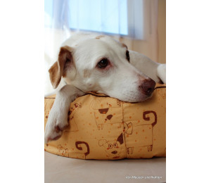 Bio Jersey Lillestoff - Spot and Flower